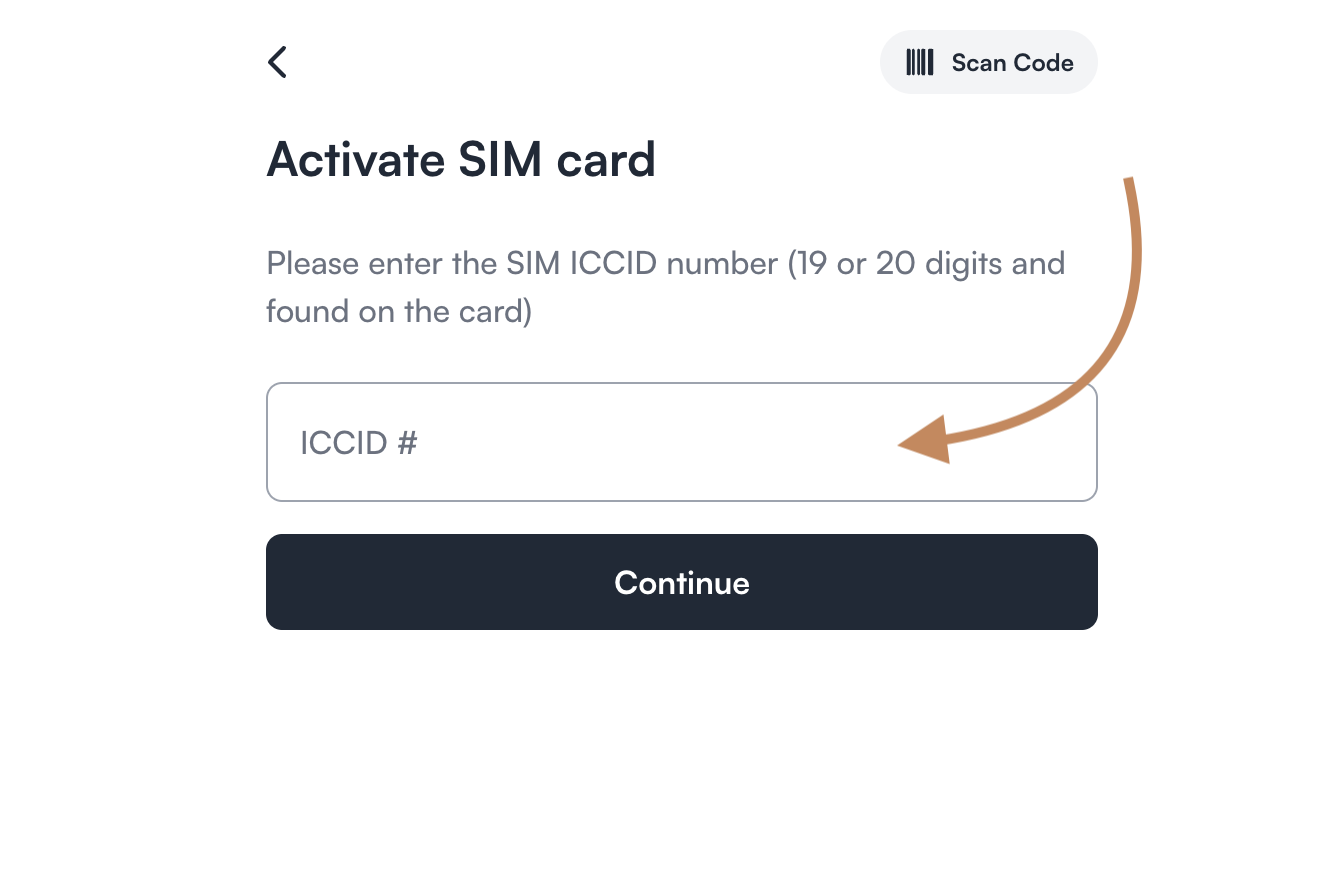 Enter ICCID -5.png
