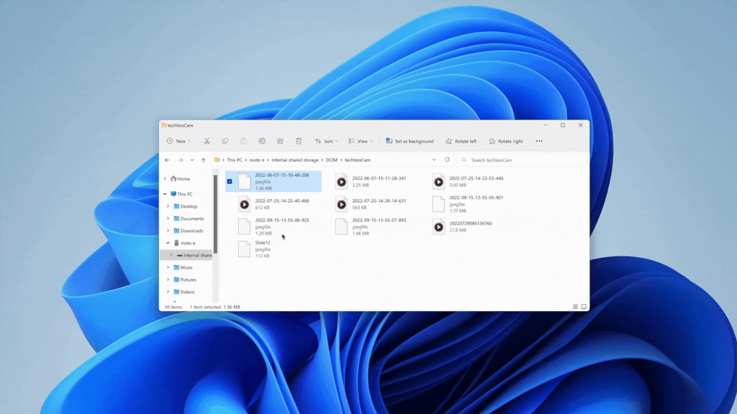 Untitled_design.gif